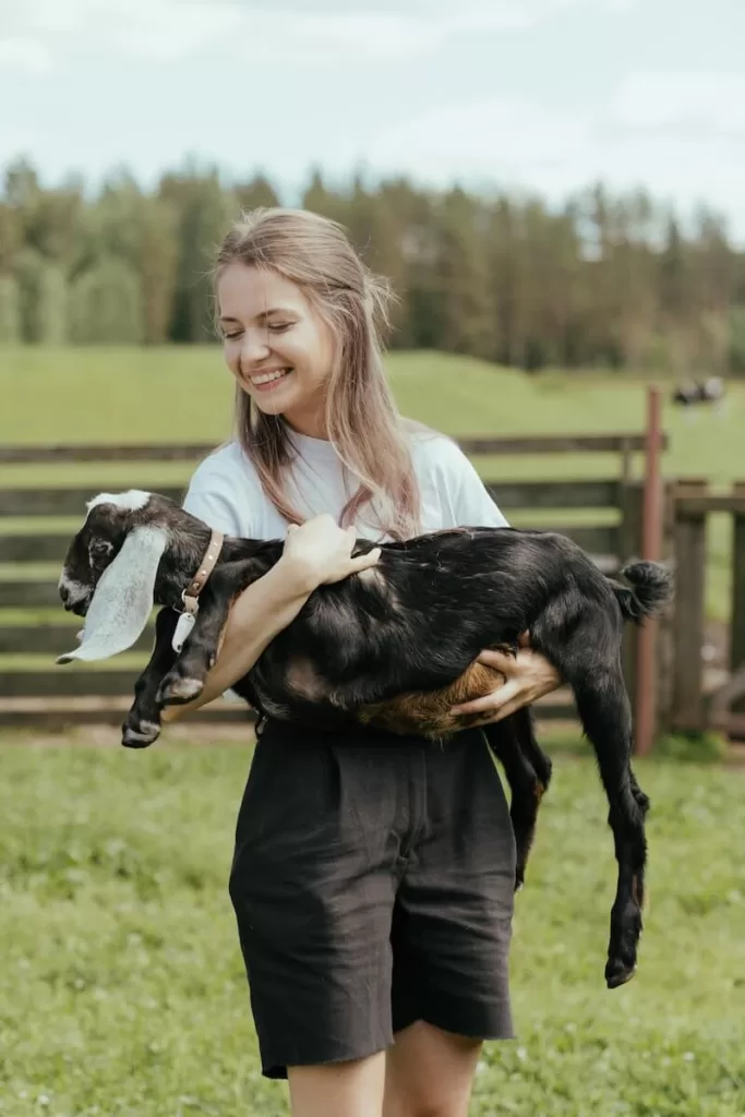 What Are The Basic Requirements To Start A Homestead? (land, Housing, Tools, Livestock, Seeds, Etc.) a young girl in the farm holding a goat